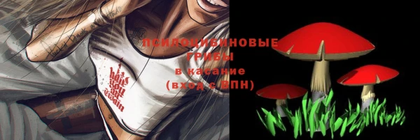 прущий лед Алексеевка