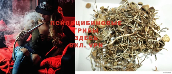 прущий лед Алексеевка