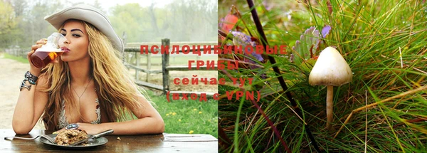 прущий лед Алексеевка