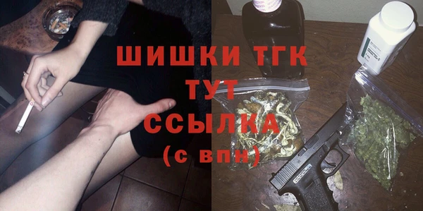 МДПВ Михайлов